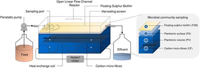 Effect of temperature change on the performance of the hybrid linear flow channel reactor and its implications on sulphate-reducing and sulphide-oxidising microbial community dynamics